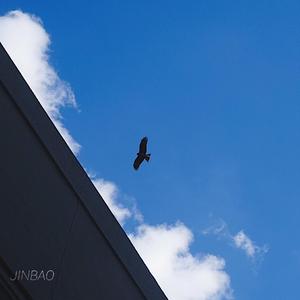 亚洲精品偷拍视频免费观看
