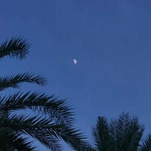 亚洲精品偷拍视频免费观看
